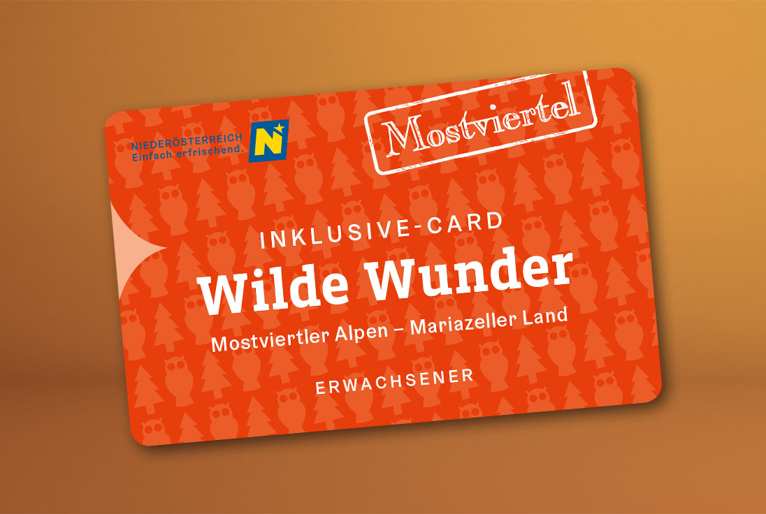 Cover zum Beitrag 15 Jahre Wilde Wunder Card mit der Abbildung der Karte